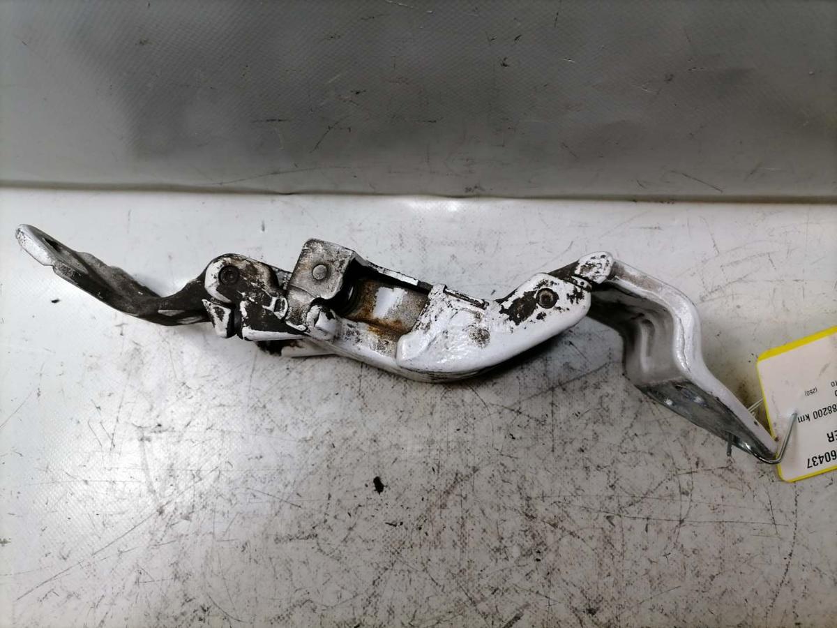 Fiat Ducato 250 original Scharnier Fl&uuml;gelt&uuml;r rechts unten 270&deg; Bj.2019